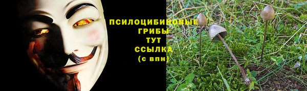 а пвп мука Абдулино